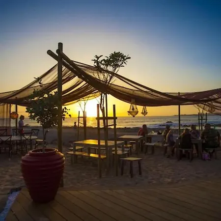 Апартаменты Sea View Duplex Private Jacuzzi, Garden, Terras And Shared Pool Эль-Пальмар